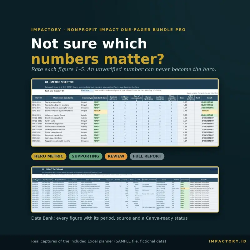 Excel Metric Selector and Data Bank screens ranking nonprofit figures as hero, supporting, review or full report